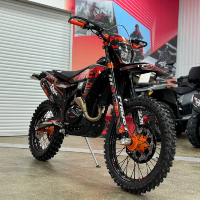Кроссовый мотоцикл FAIDET PR300 MAX WP в Чебоксарах