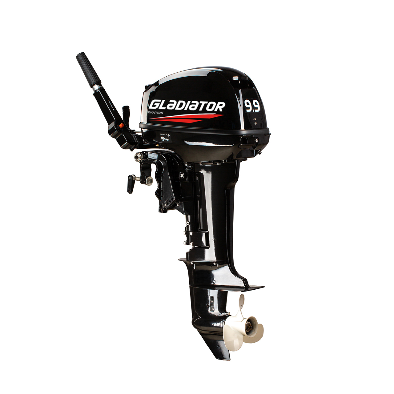 ЛОДОЧНЫЙ МОТОР GLADIATOR G9.9FHS в Чебоксарах