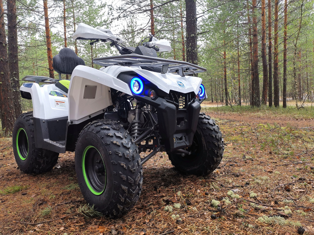 Квадроцикл PROMAX RENEGADE 280 (2025) в Чебоксарах