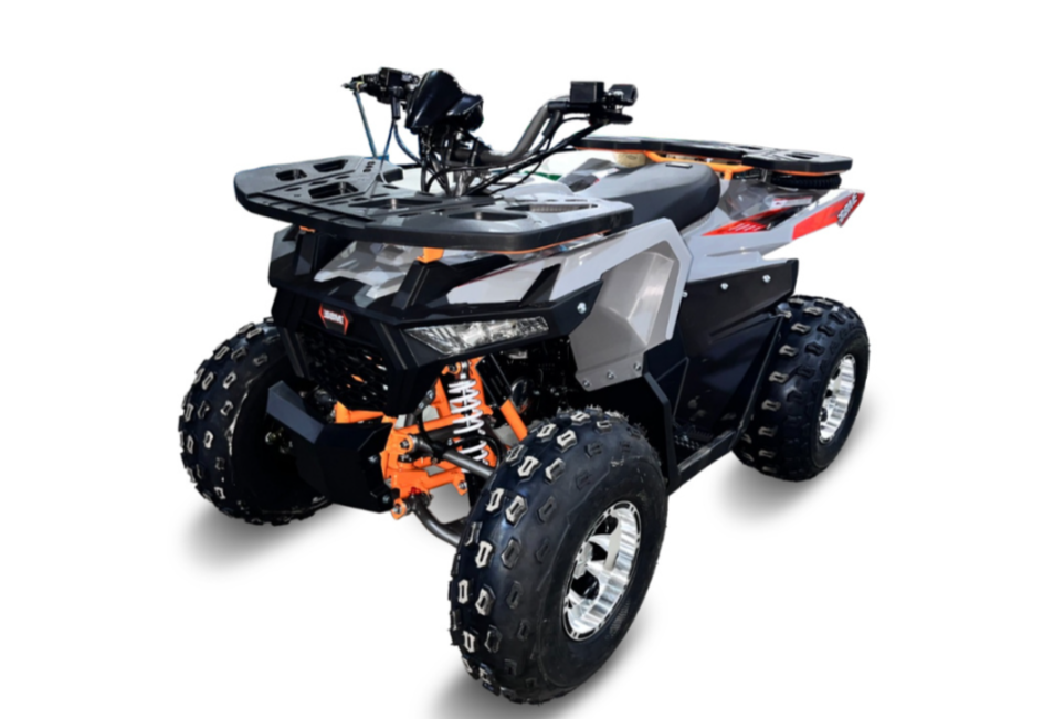 Квадроцикл GBM DAXTER 220 NEW PREMIUM в Чебоксарах