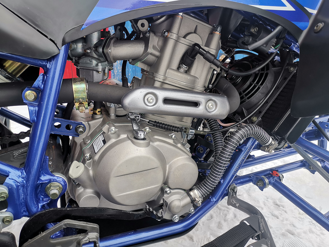 Квадроцикл PROMAX RAPTOR 300 NEW RedBull в Чебоксарах