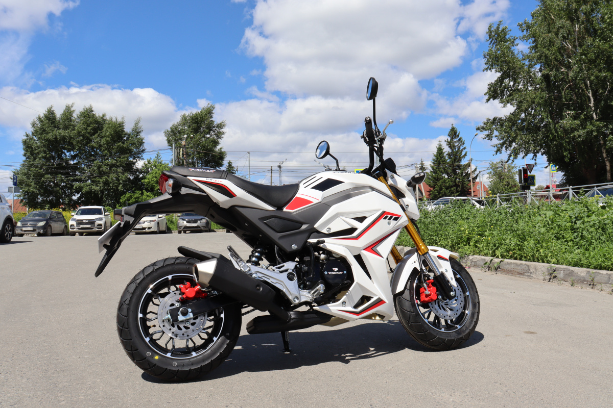 Мотоцикл PROMAX STRYKER 200(49) 2.0 в Чебоксарах