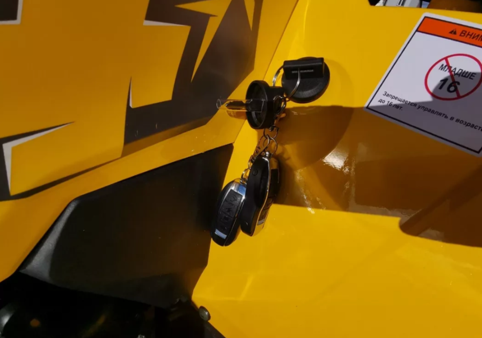 Квадроцикл MOTOLAND (МОТОЛЕНД) VOX200 WILD TRACK X PRO (баланс. вал) в Чебоксарах