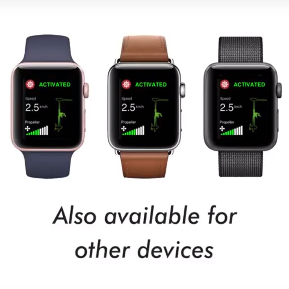 Лодочный электромотор якорь Haswing Cayman B, GPS, 12V, 55Lbs, нога 137 мм в Чебоксарах