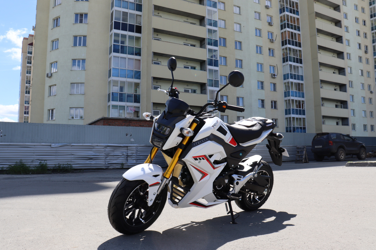 Мотоцикл PROMAX STRYKER 200(49) 2.0 в Чебоксарах