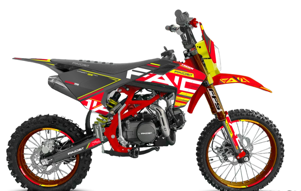 Питбайк FAIDET KAYOT 150E-PRO 19/16 в Чебоксарах