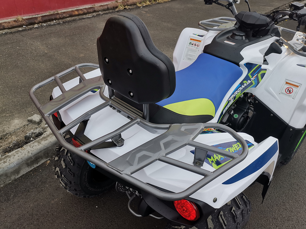 Квадроцикл PROMAX RENEGADE 280 LUX (2025) в Чебоксарах