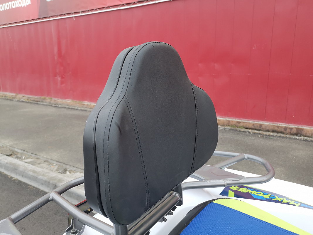 Квадроцикл PROMAX RENEGADE 280 LUX (2025) в Чебоксарах