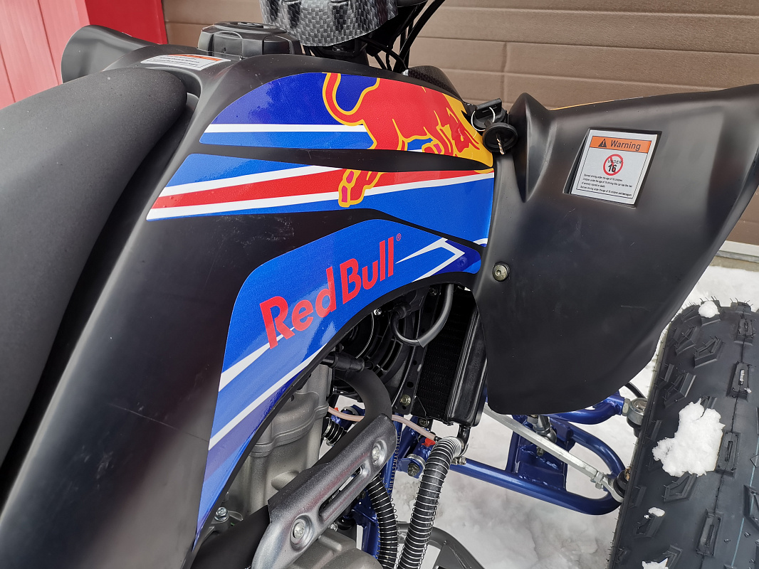 Квадроцикл PROMAX RAPTOR 300 NEW RedBull в Чебоксарах
