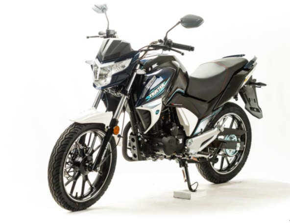 Мотоцикл MOTOLAND (МОТОЛЕНД) FIGHTER 250 в Чебоксарах