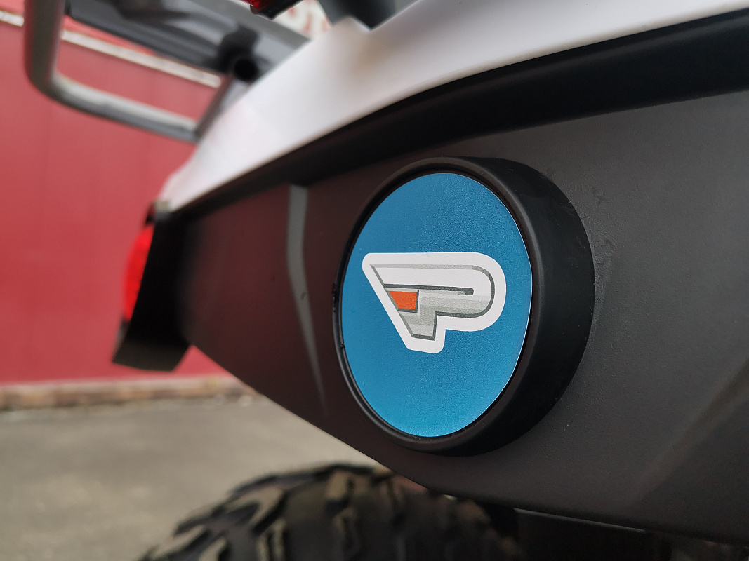 Квадроцикл PROMAX RENEGADE 280 LUX (2025) в Чебоксарах