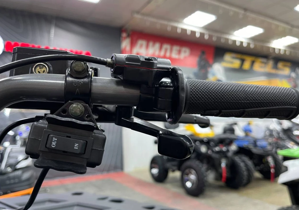 Квадроцикл PROMAX RENEGADE 300 LONG WINCH PRO (2025) в Чебоксарах