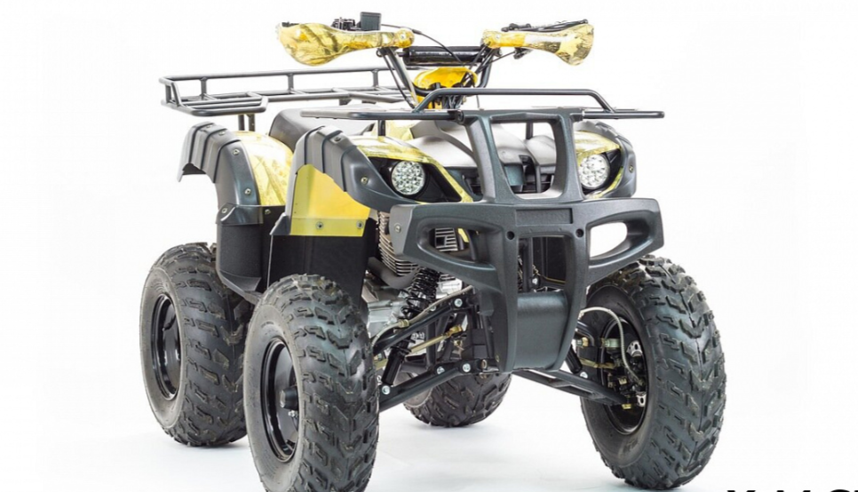 Квадроцикл MOTOLAND (МОТОЛЕНД) 250 ADVENTURE в Чебоксарах