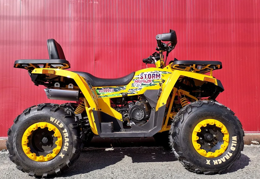 Квадроцикл PROMAX STORM 280 LUX в Чебоксарах