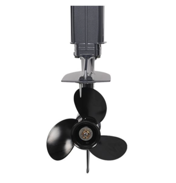 Лодочный мотор ALLFA CG Т40FW S в Чебоксарах