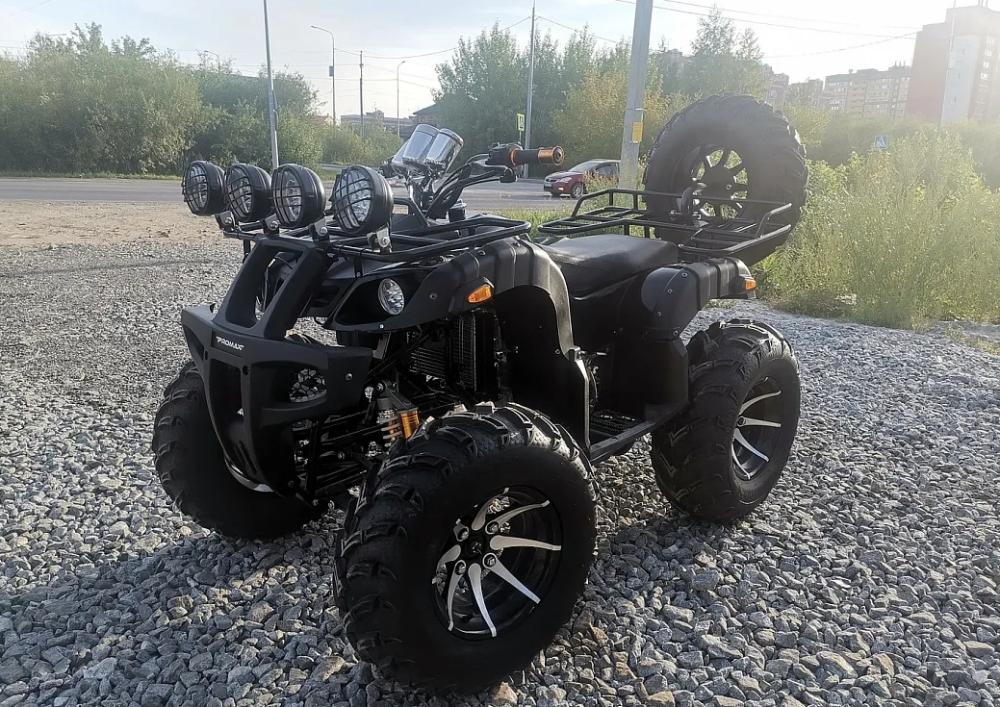 Квадроцикл PROMAX LEO 300 Max (кардан) в Чебоксарах