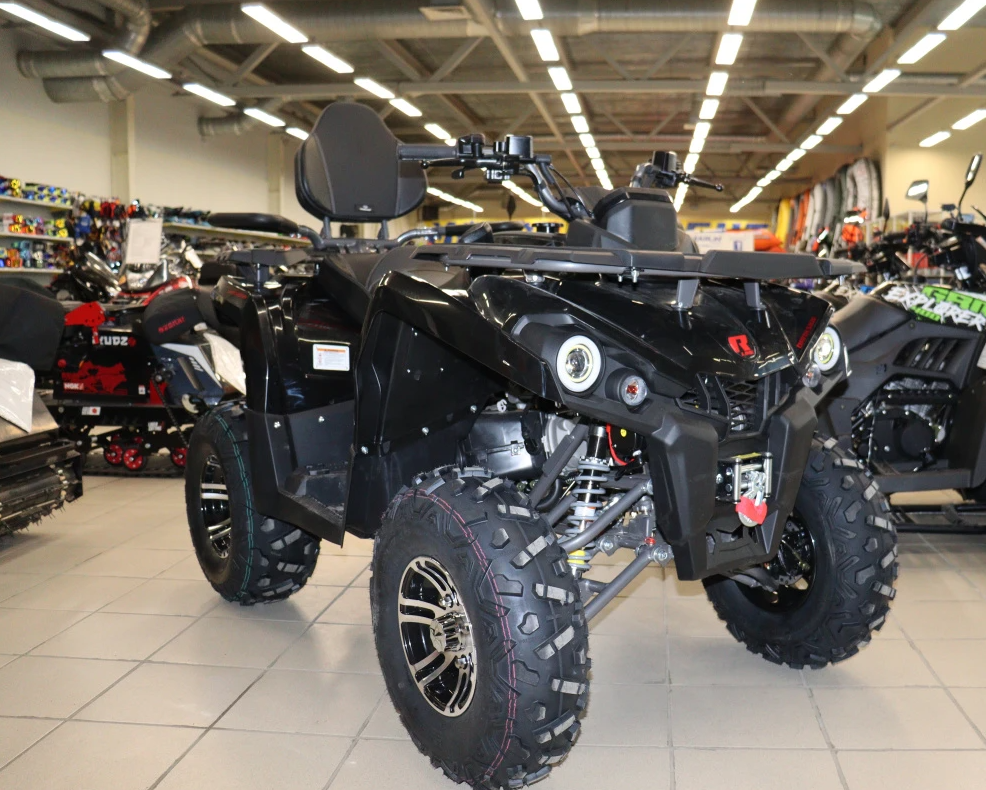 Квадроцикл PROMAX RENEGADE 300 LONG WINCH PRO (2025) в Чебоксарах