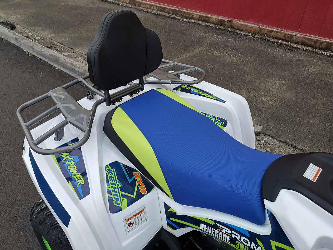 Квадроцикл PROMAX RENEGADE 280 LUX (2025) в Чебоксарах