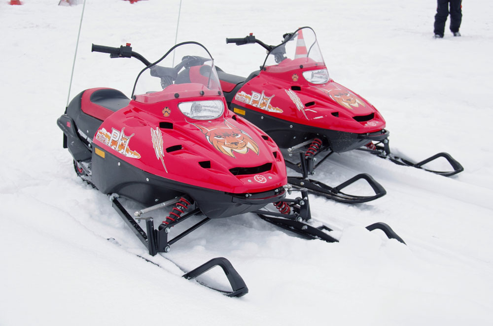 Снегоход РМ ТАЙГА РЫСЬ в Чебоксарах