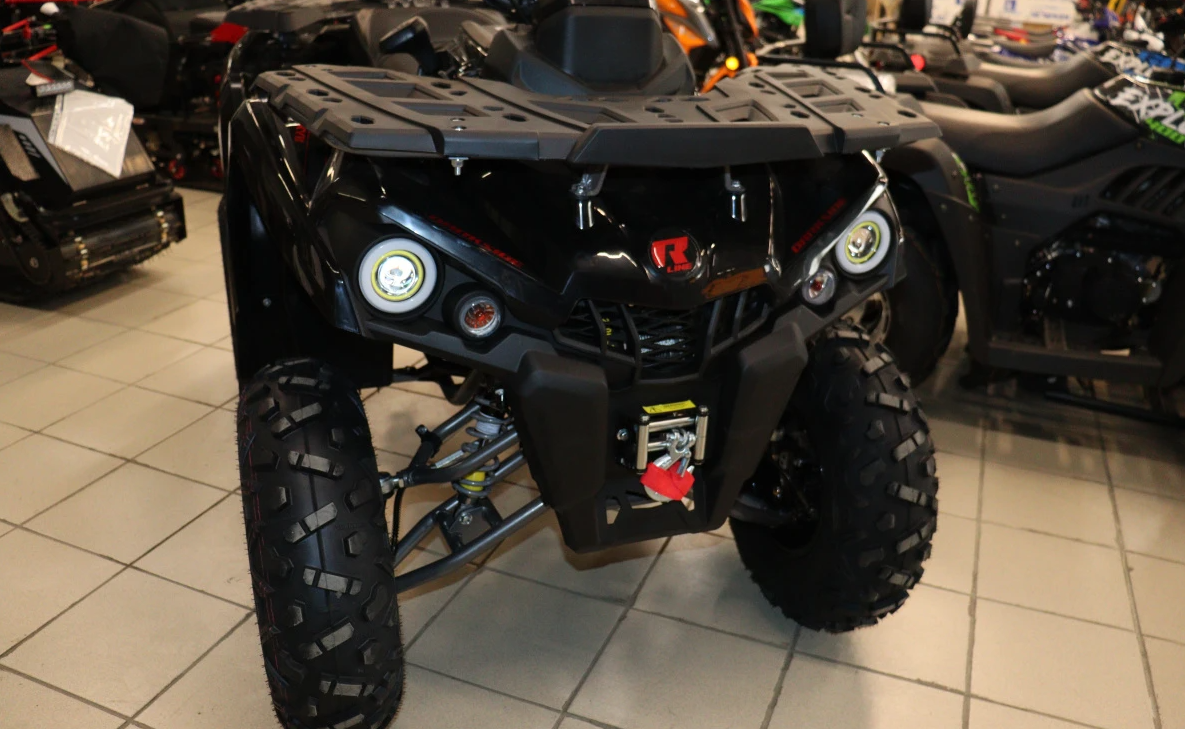 Квадроцикл PROMAX RENEGADE 300 LONG WINCH PRO (2025) в Чебоксарах