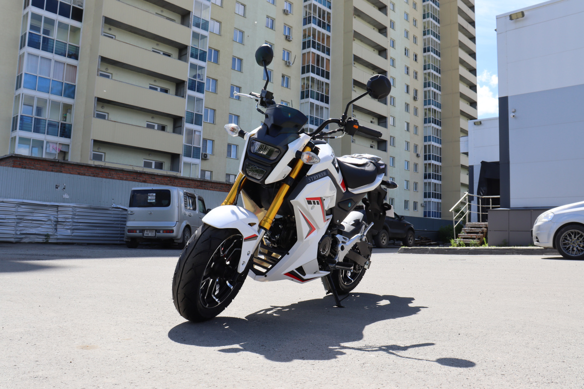 Мотоцикл PROMAX STRYKER 200(49) 2.0 в Чебоксарах