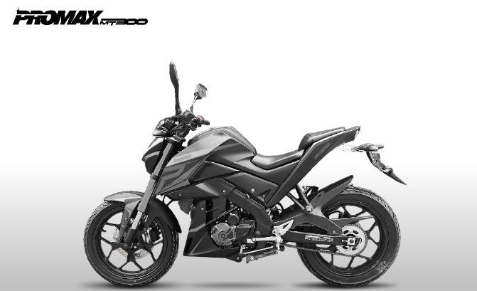 Мотоцикл PROMAX MT300 в Чебоксарах