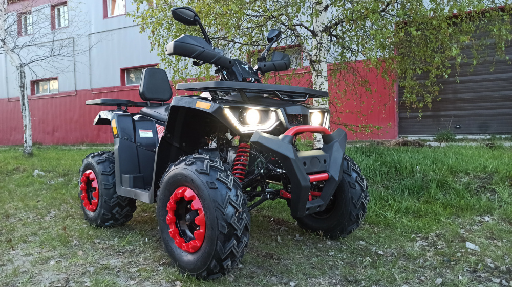 Квадроцикл PROMAX WILD 300 LUX (2024) в Чебоксарах