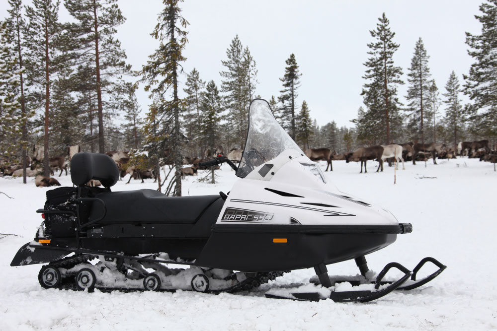 СНЕГОХОД РМ ТАЙГА ВАРЯГ 550 V в Чебоксарах