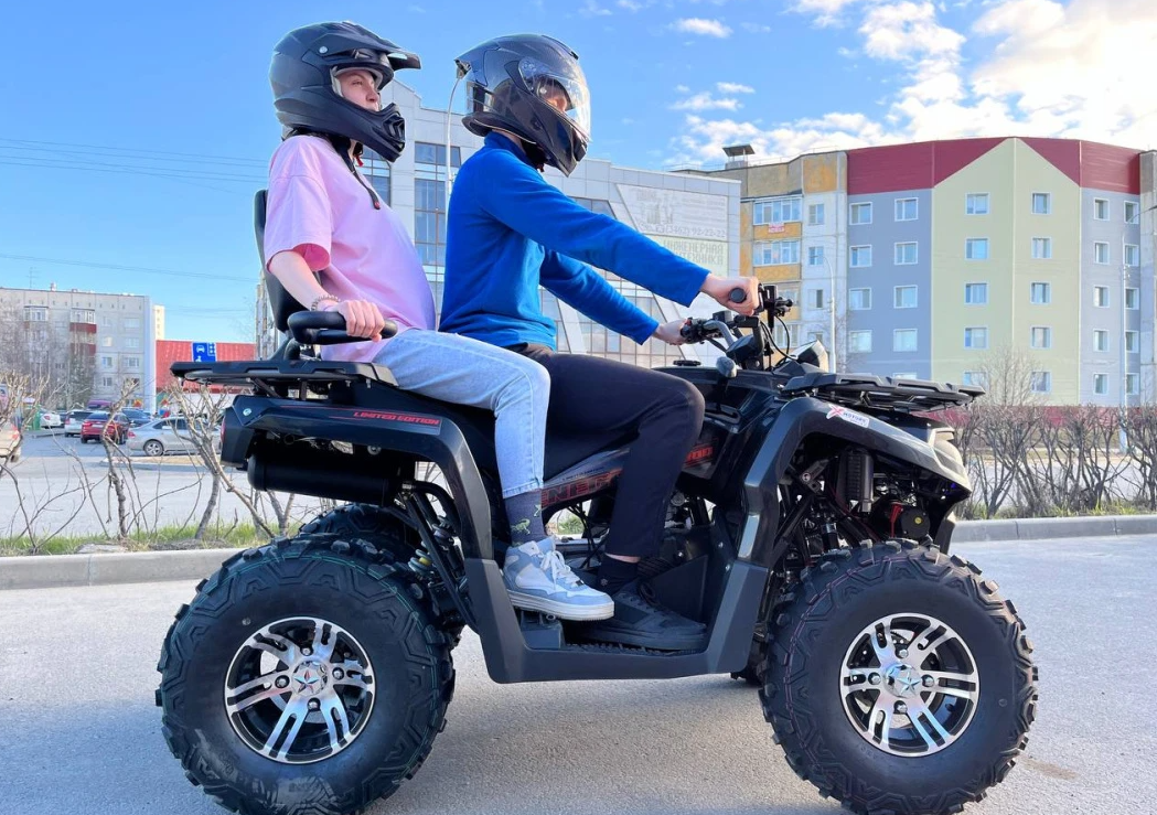 Квадроцикл PROMAX RENEGADE 300 LONG WINCH PRO (2025) в Чебоксарах