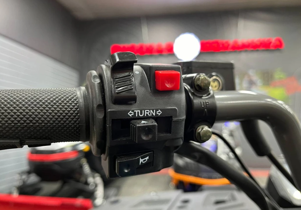 Квадроцикл PROMAX RENEGADE 300 LONG WINCH PRO (2025) в Чебоксарах