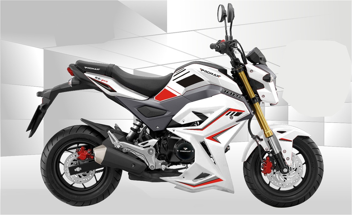 Мотоцикл PROMAX STRYKER 200(49) 2.0 в Чебоксарах