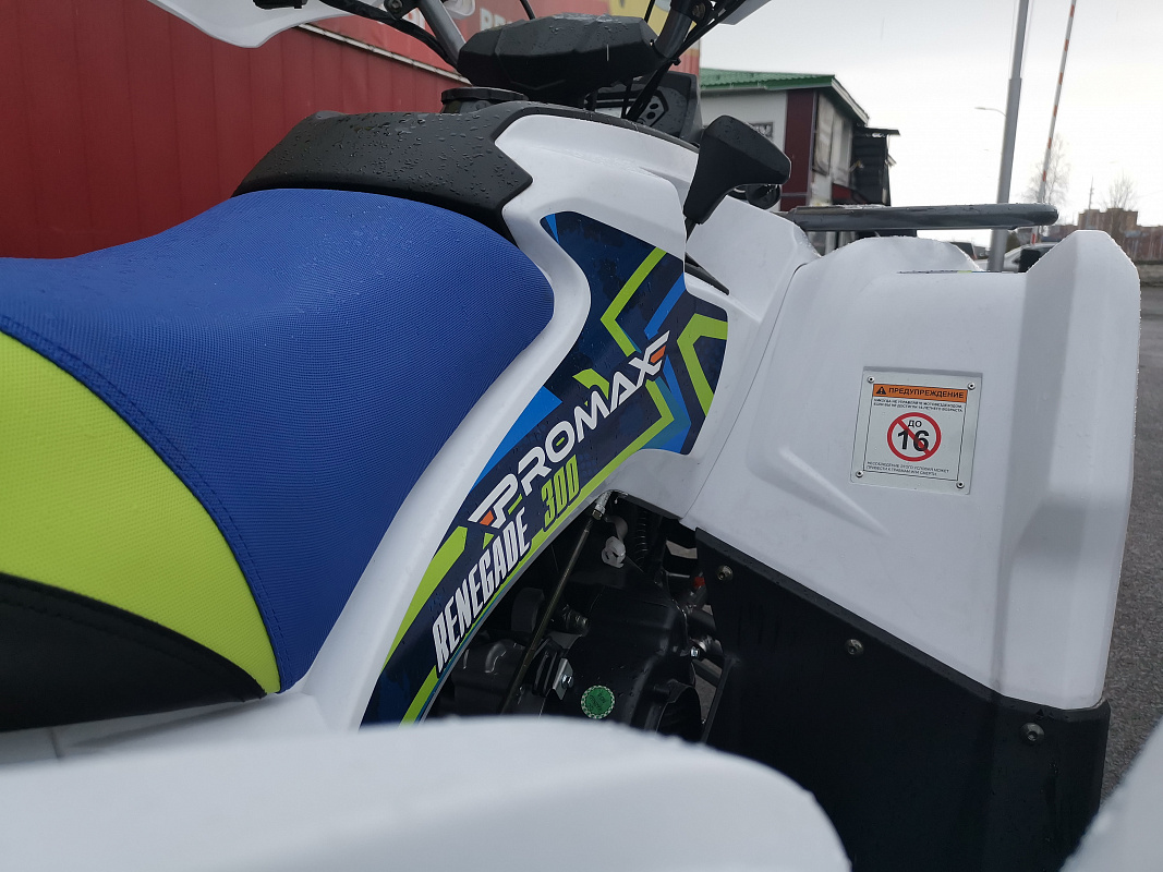 Квадроцикл PROMAX RENEGADE 280 LUX (2025) в Чебоксарах