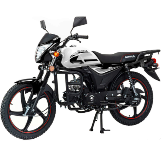 Мопед MOTOLAND (МОТОЛЕНД) Альфа RS 11 (LM48-B) в Чебоксарах