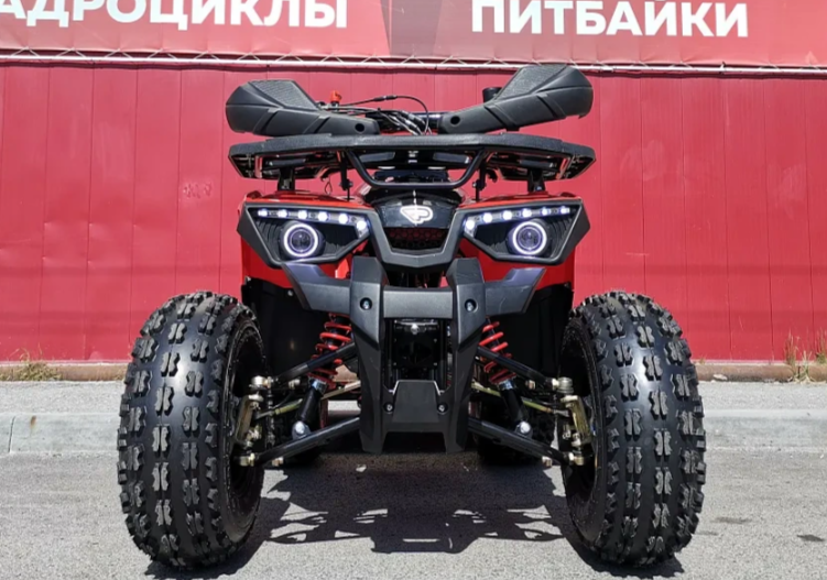 Квадроцикл PROMAX WILD 175 BASIC в Чебоксарах