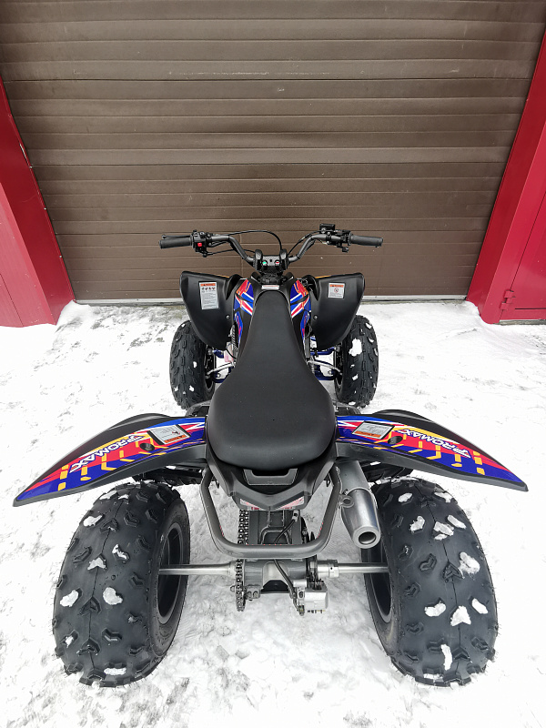 Квадроцикл PROMAX RAPTOR 300 NEW RedBull в Чебоксарах