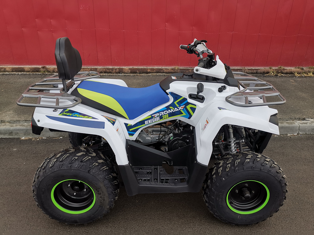 Квадроцикл PROMAX RENEGADE 280 LUX (2025) в Чебоксарах