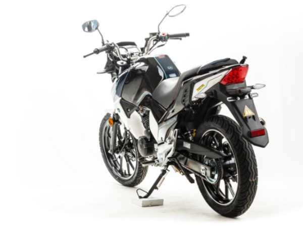 Мотоцикл MOTOLAND (МОТОЛЕНД) FIGHTER 250 в Чебоксарах