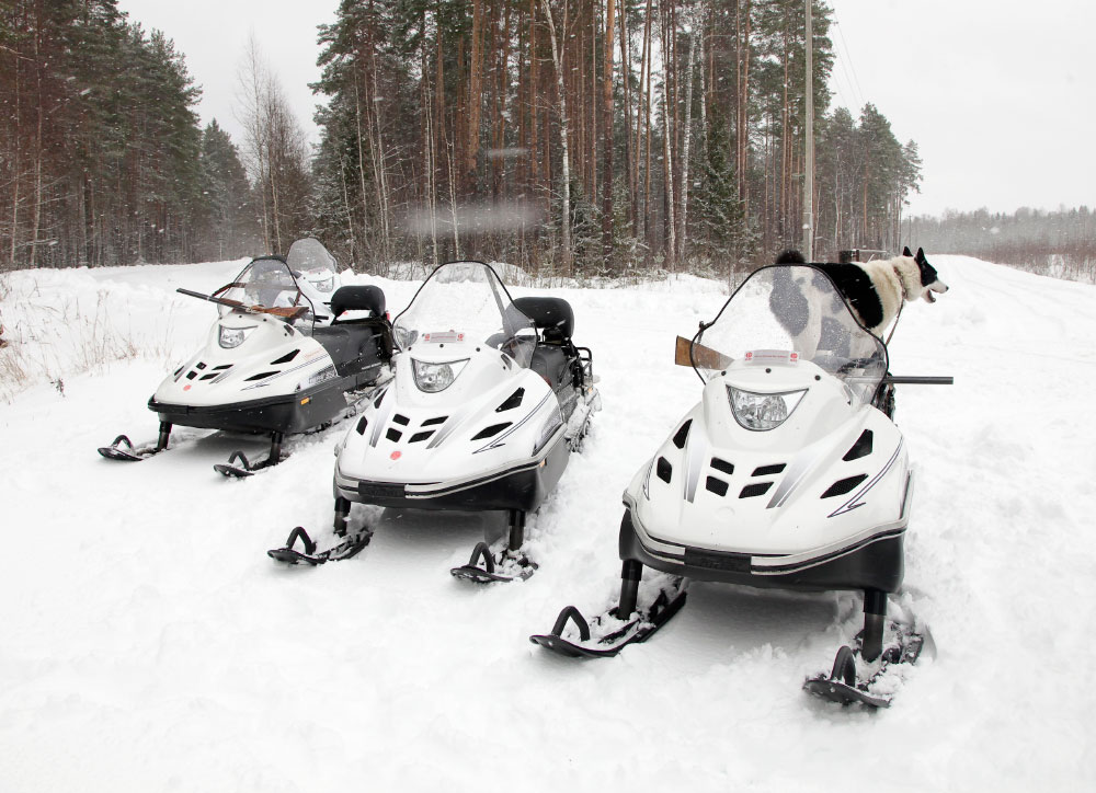 СНЕГОХОД РМ ТАЙГА ВАРЯГ 550 V в Чебоксарах