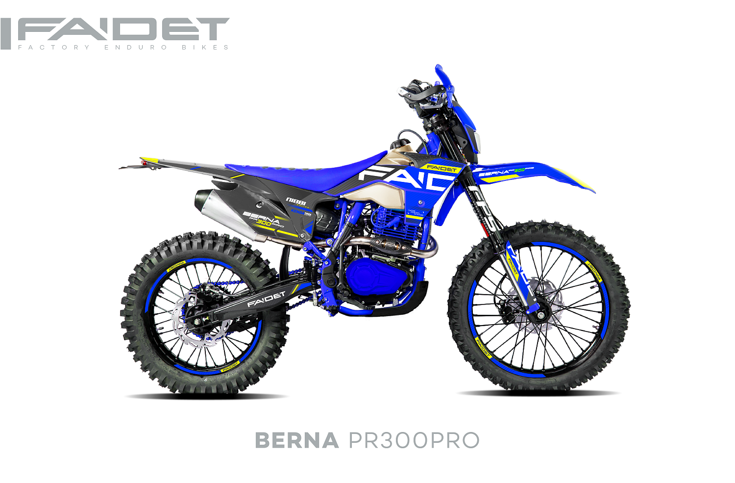 Кроссовый мотоцикл FAIDET BERNA PR300-PRO FPS в Чебоксарах