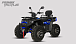 Квадроцикл PROMAX TAURUS 300 MAX-PRO LONG в Чебоксарах