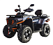 Квадроцикл MOTOLAND (МОТОЛЕНД) 300 MAX X в Чебоксарах