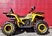 Квадроцикл PROMAX STORM 280 LUX в Чебоксарах