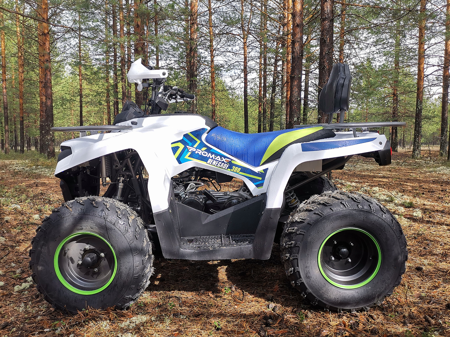 Квадроцикл PROMAX RENEGADE 280 (2025) в Чебоксарах