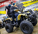Квадроцикл PROMAX ATV 250 (2025) в Чебоксарах
