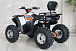 Квадроцикл GBM STORMRIDER 320 PREMIUM в Чебоксарах