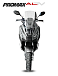 МаксиСкутер PROMAX-HONDA ADV 150 (49) (Inspired by HONDA) в Чебоксарах
