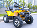 Квадроцикл MOTOLAND (МОТОЛЕНД) VOX200 WILD TRACK X PRO (баланс. вал) в Чебоксарах