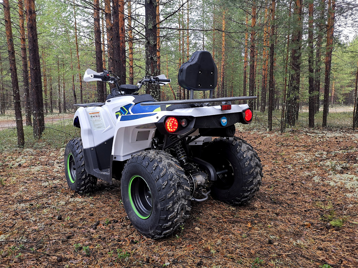 Квадроцикл PROMAX RENEGADE 280 (2025) в Чебоксарах