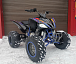 Квадроцикл PROMAX RAPTOR 300 NEW RedBull в Чебоксарах