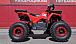 Квадроцикл PROMAX WILD 175 BASIC в Чебоксарах